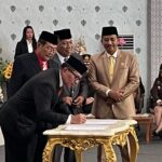 WhatsApp Image 2025-03-05 at 20.39.54 WhatsApp Image 2025-03-05 at 20.39.54