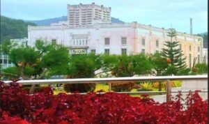 Screenshot_2025-04-11-23-55-16-55_40deb401b9ffe8e1df2f1cc5ba480b12