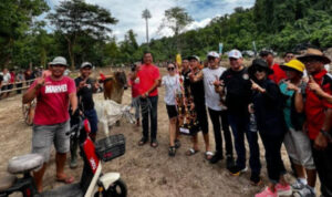 InShot_20250601_135356017