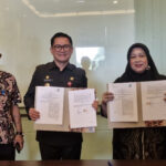 InShot_20250626_192938896