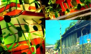 Screenshot_2025-07-31-21-01-19-85_40deb401b9ffe8e1df2f1cc5ba480b12