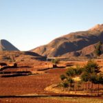 Screenshot_20250726_202352_Google