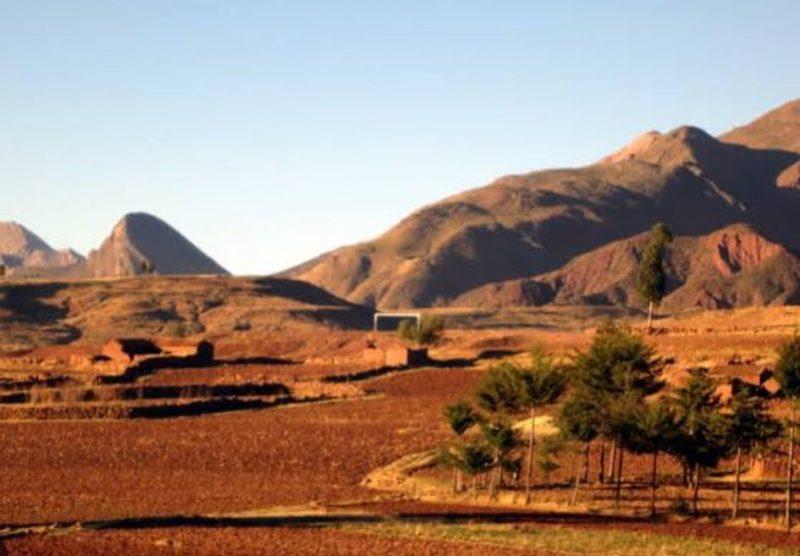 Screenshot_20250726_202352_Google