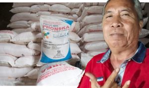 IMG-20250802-WA0000(1)