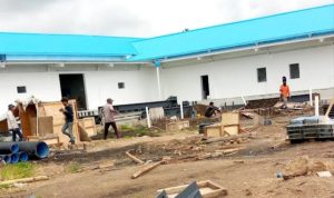 InShot_20250807_184947692