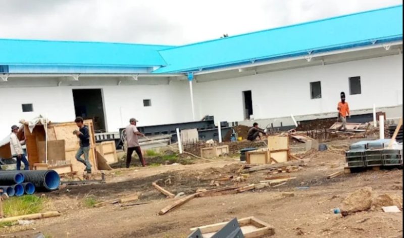 InShot_20250807_184947692