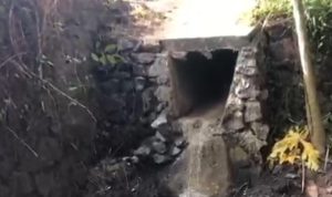 InShot_20250810_220217518