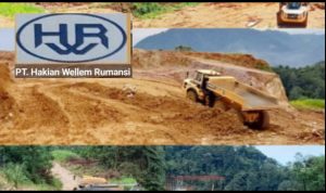 PhotoGrid_Plus_1755863626158