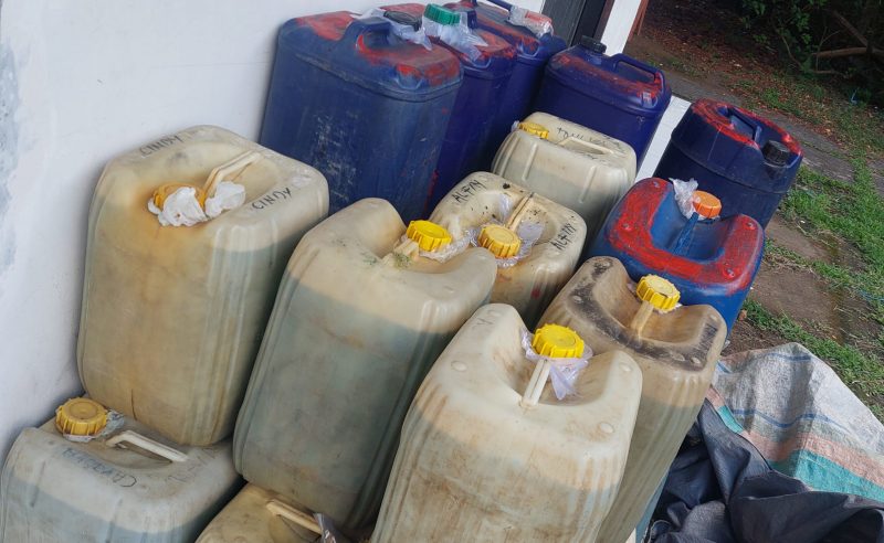 InShot_20250913_100319711