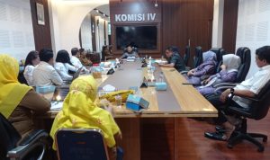 WhatsApp Image 2025-09-24 at 02.40.17