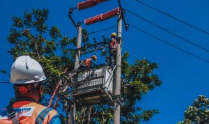 IMG-20240723-WA0214(1)