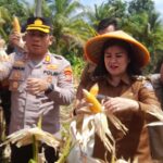 Dofoto_20251104_183048300cc3dd128f3b2aeca48604e2912f3e010