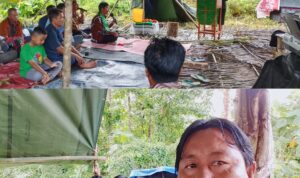 InCollage_20251109_145339482