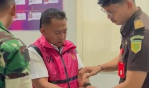 InShot_20251119_193031483