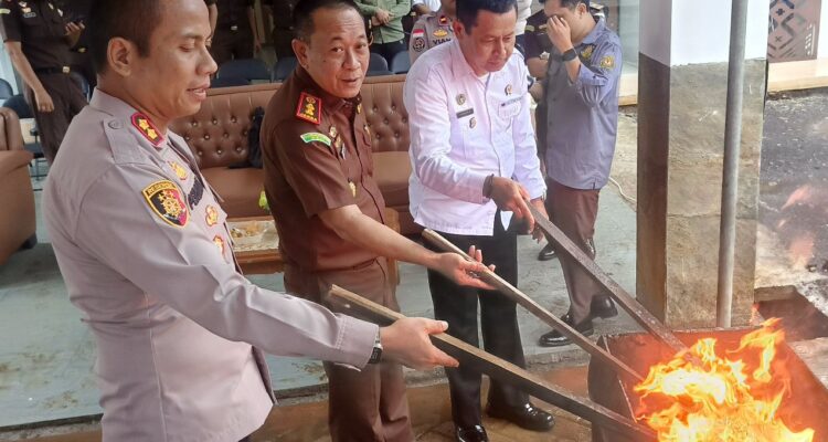 Resize_024ba44e-6616-4faa-8362-62bf8a8a627f20251203_101553