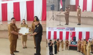 InCollage_20260105_120447987