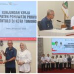 GridArt_20260212_072237606