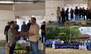 InCollage_20260212_120117926