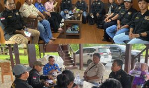 InCollage_20260212_175345794