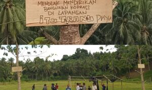 InCollage_20260216_234913340