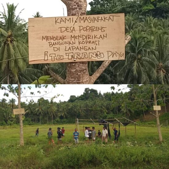 InCollage_20260216_234913340