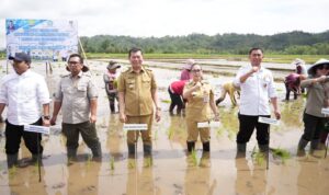 FB_IMG_1772435122666