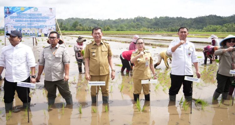 FB_IMG_1772435122666