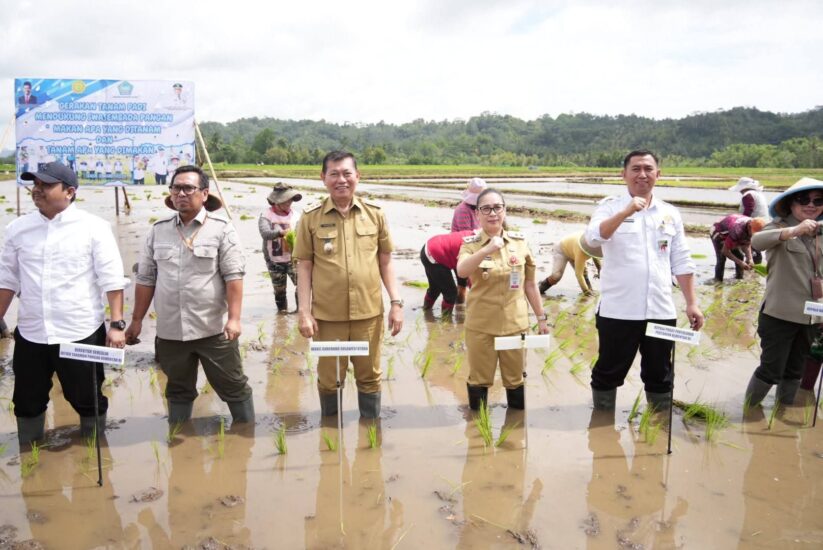 FB_IMG_1772435122666